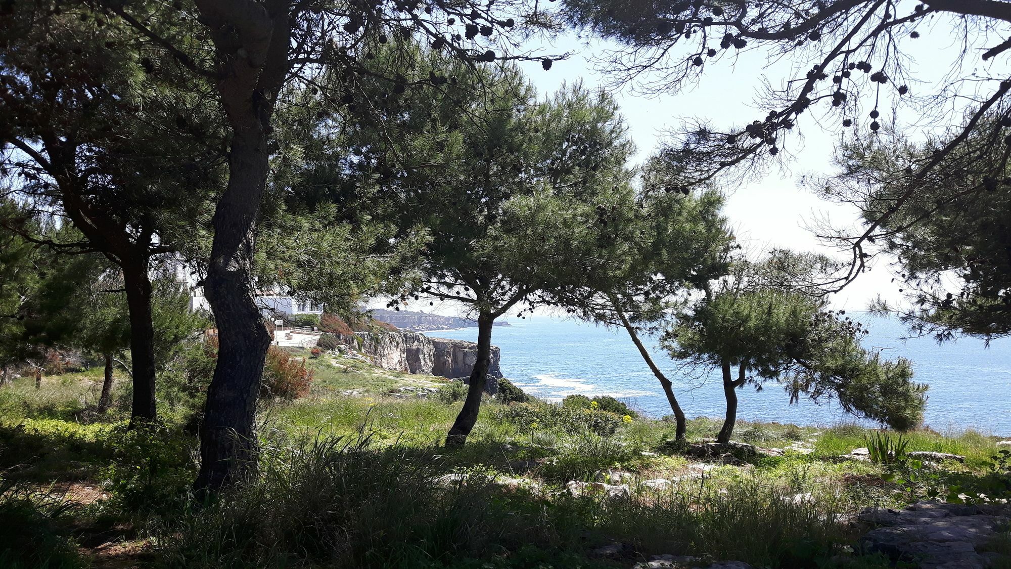 Charming Villa Golf & Beach Cascais Kültér fotó